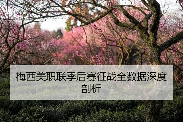 梅西美职联季后赛征战全数据深度剖析